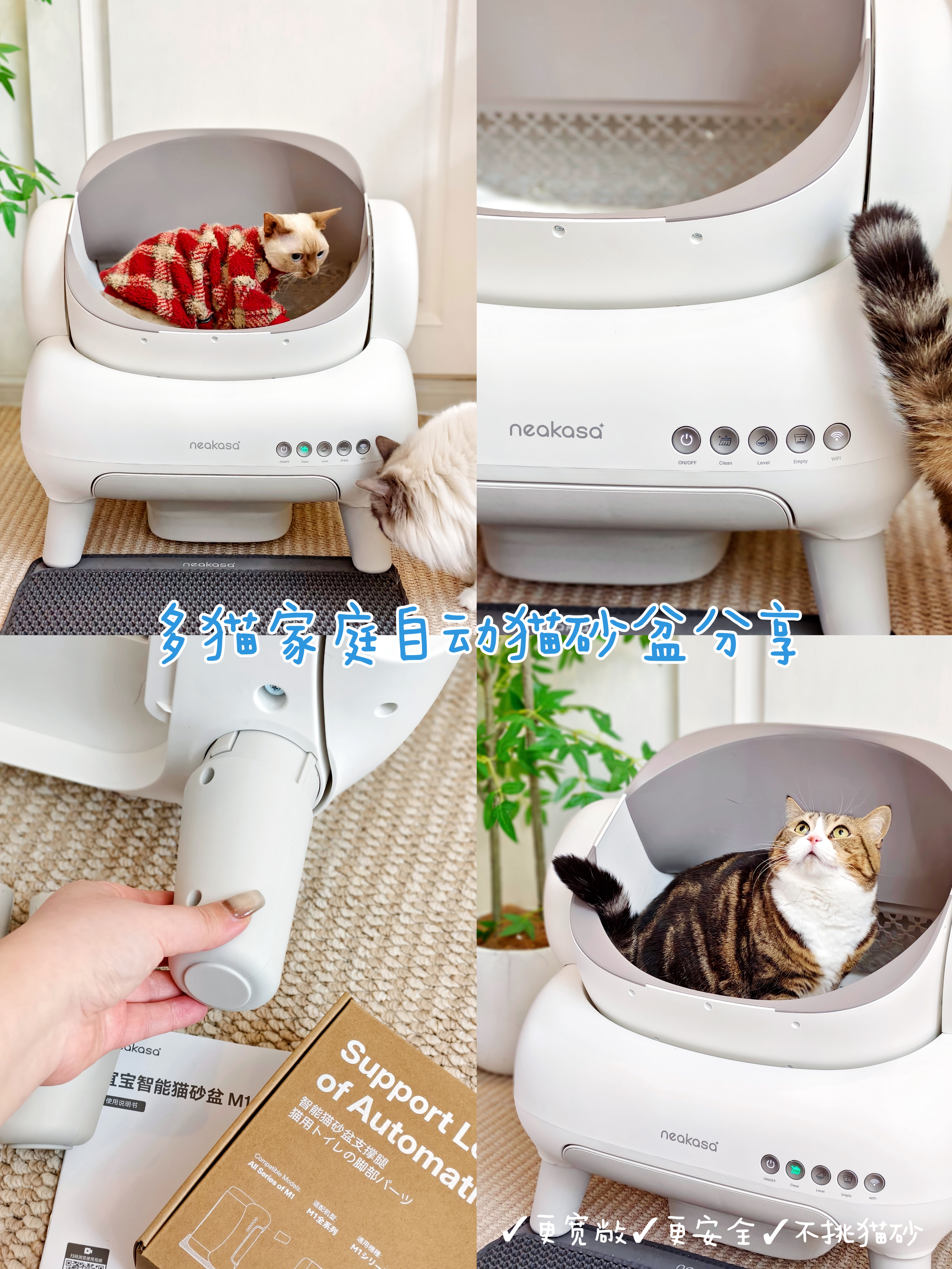 多猫家庭自动猫砂盆分享