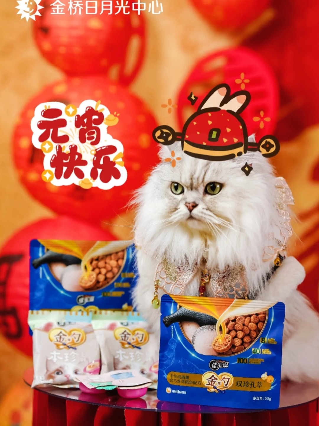 喵喵闹元宵……男明星殴打女粉丝现场被拍😱