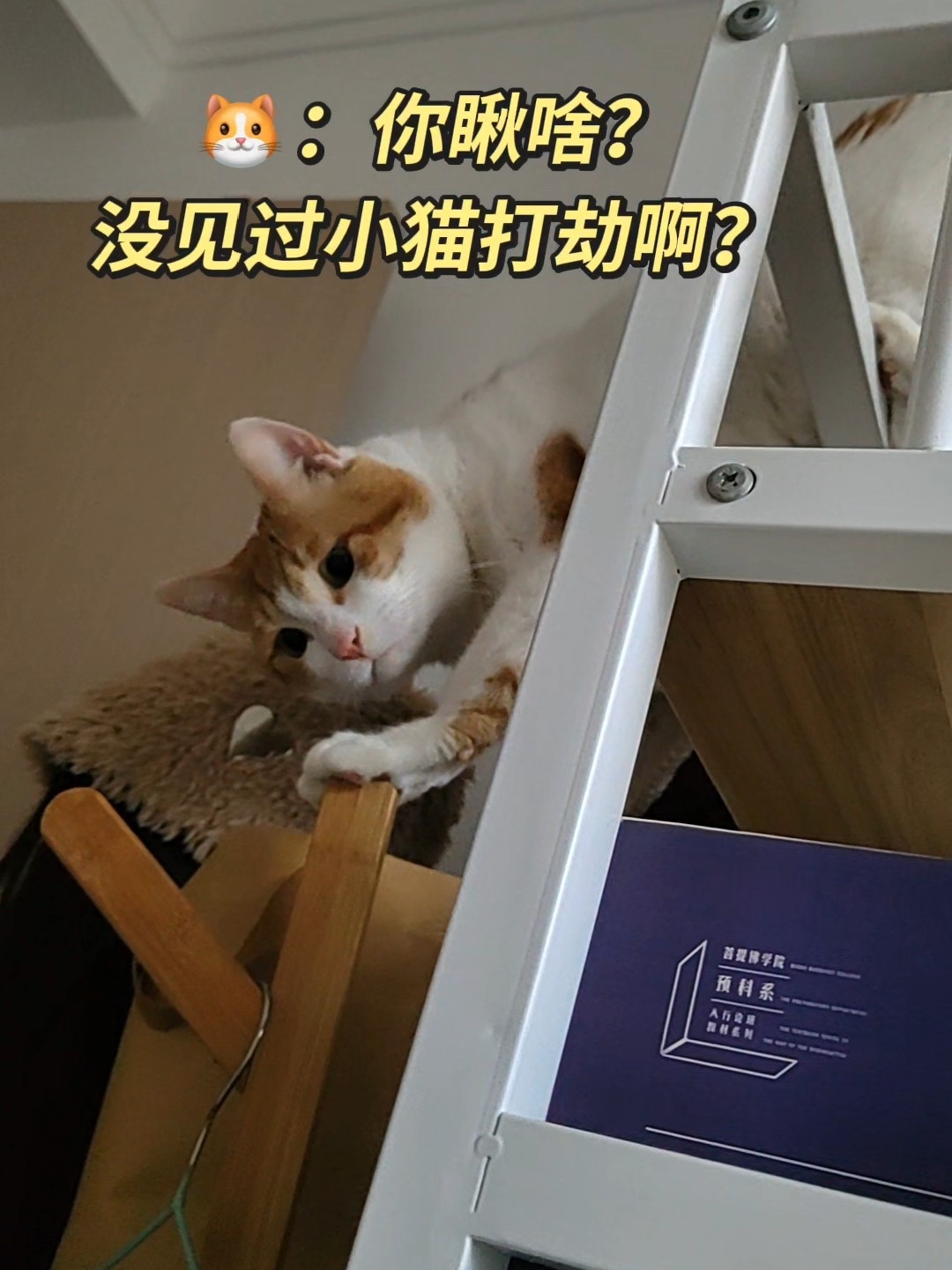 都说慈父多败儿。律师说家里遇到这种小偷孩儿，一般建议反手拨打110。我还是心慈手软了。