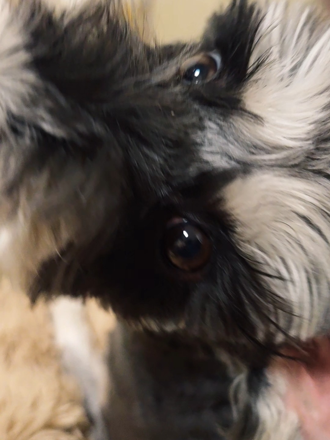 大晚上，就听见吭哧吭哧，原来就这么水灵灵的偷吃上了