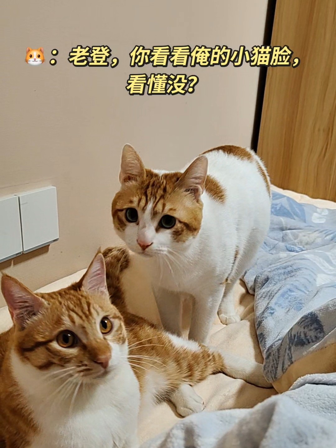 早上六点的要饭二人组