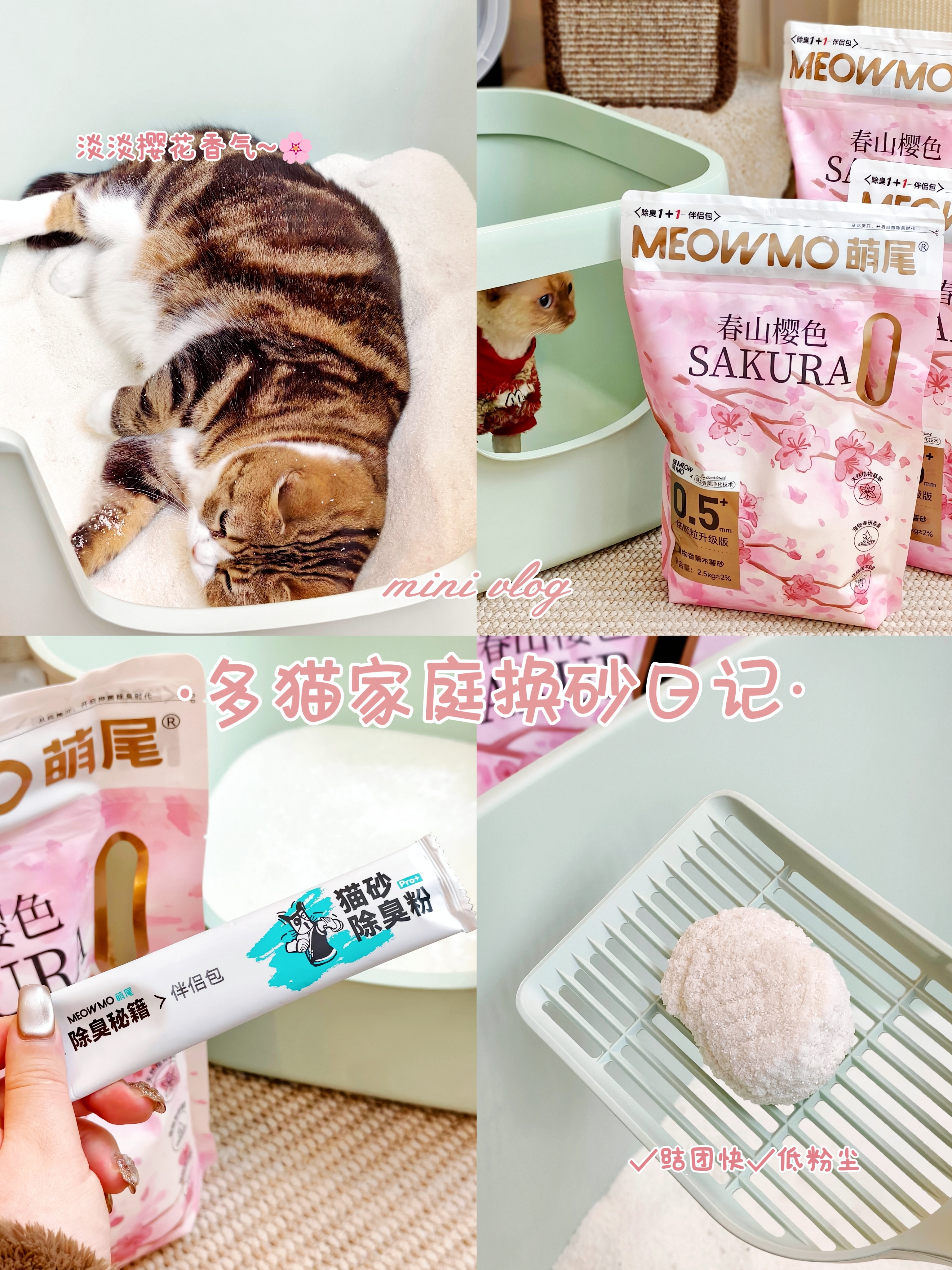 🌸欢迎收看我的换砂日记，仙女喵当然要配香香砂！