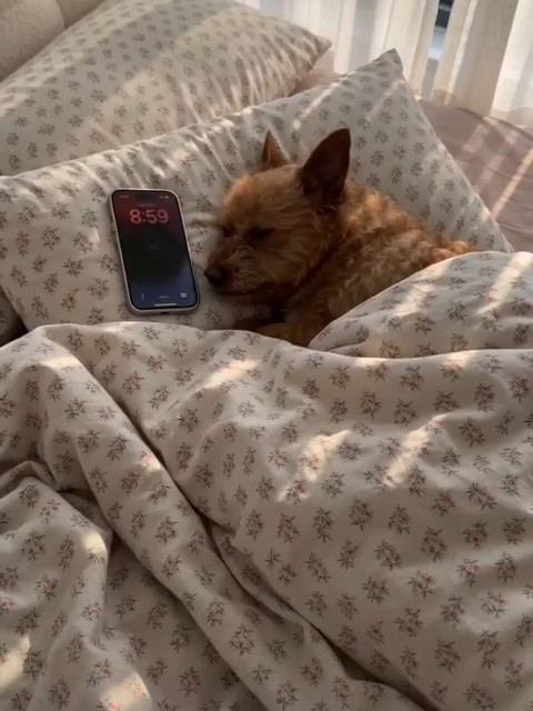 闹闹闹，闹个der