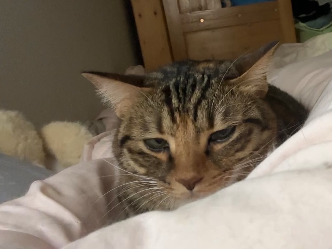 迷迷糊糊的周末7