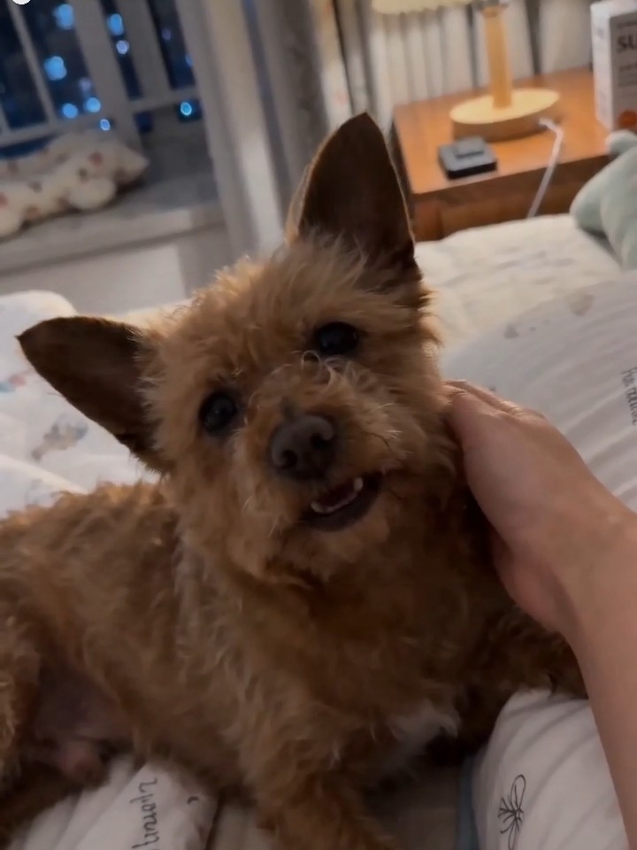 你想吃宵夜吗？