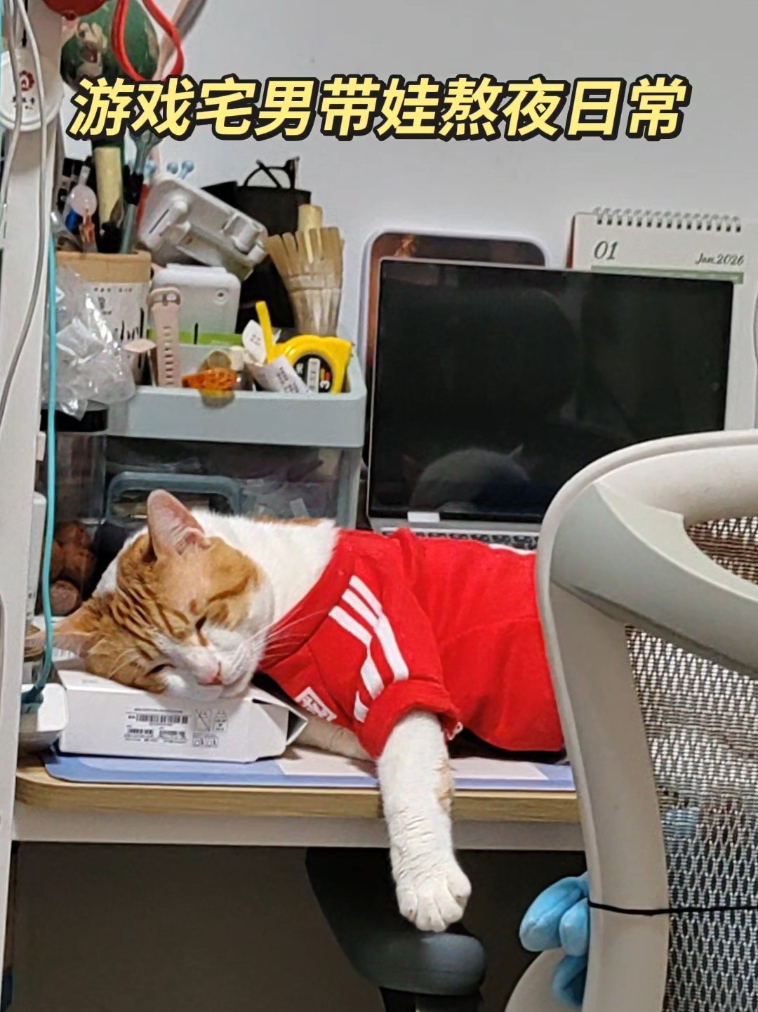 猫都困了。俺不困。