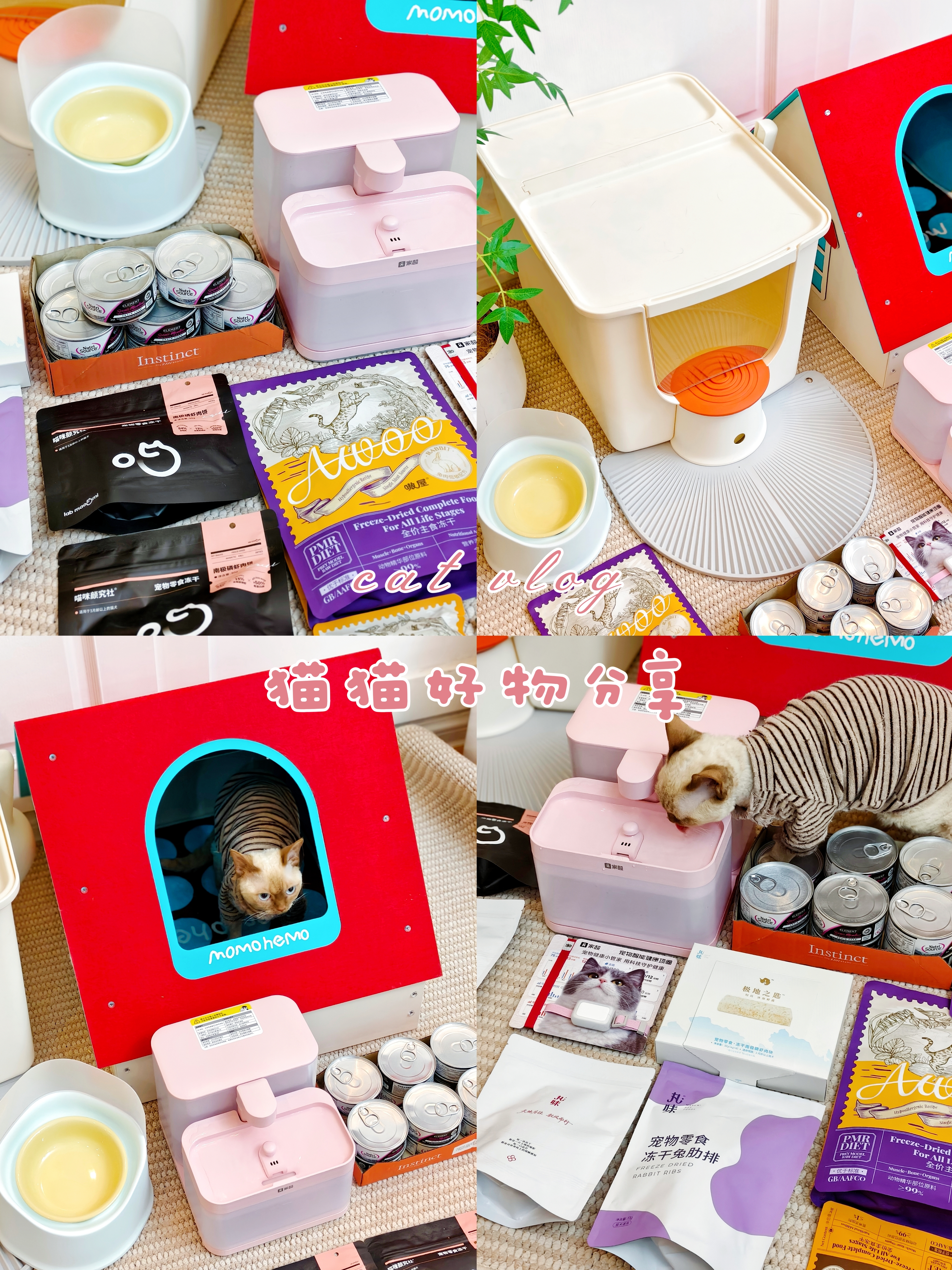 猫猫好物分享vlog