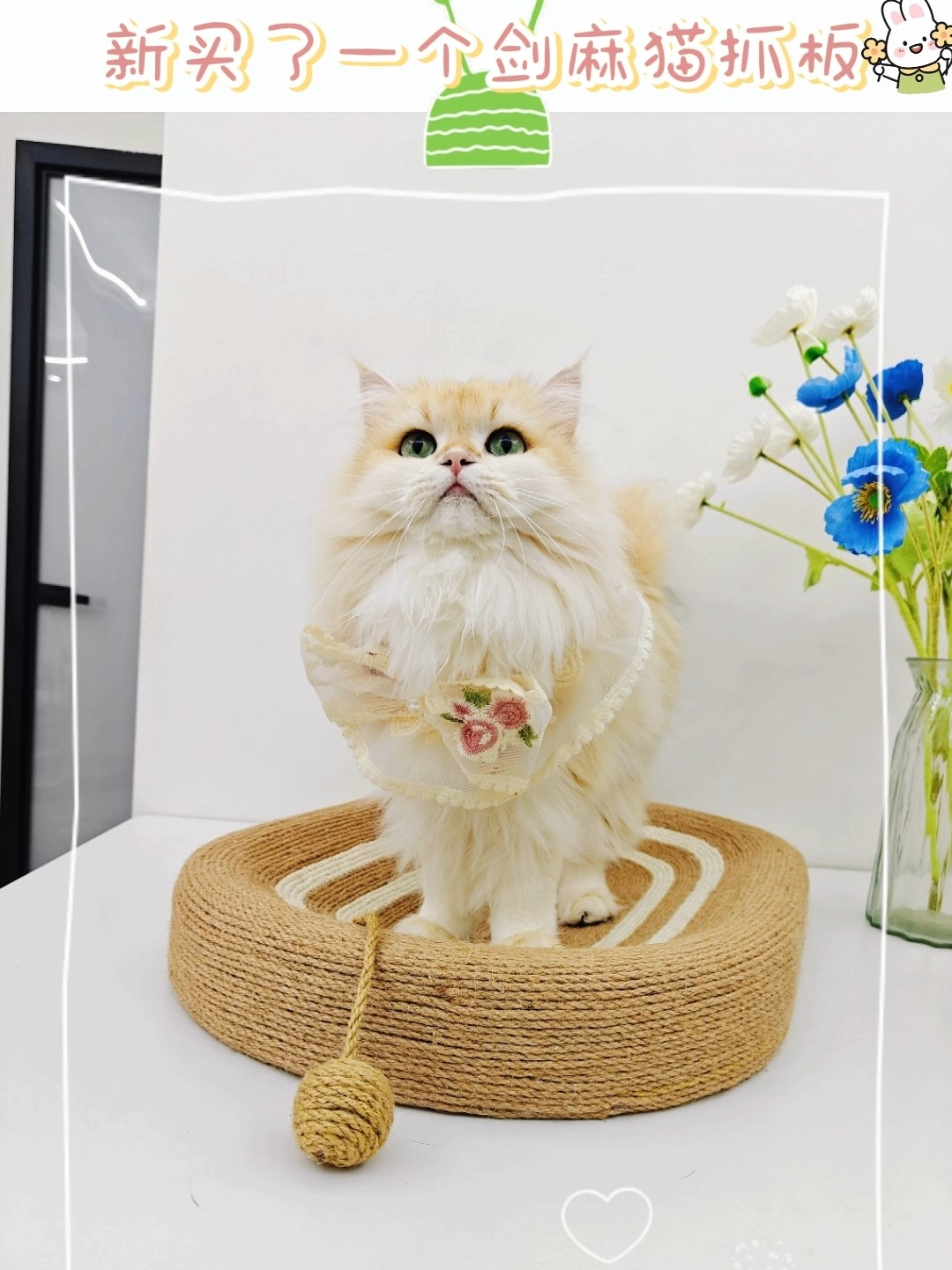 今天是好物分享哦！