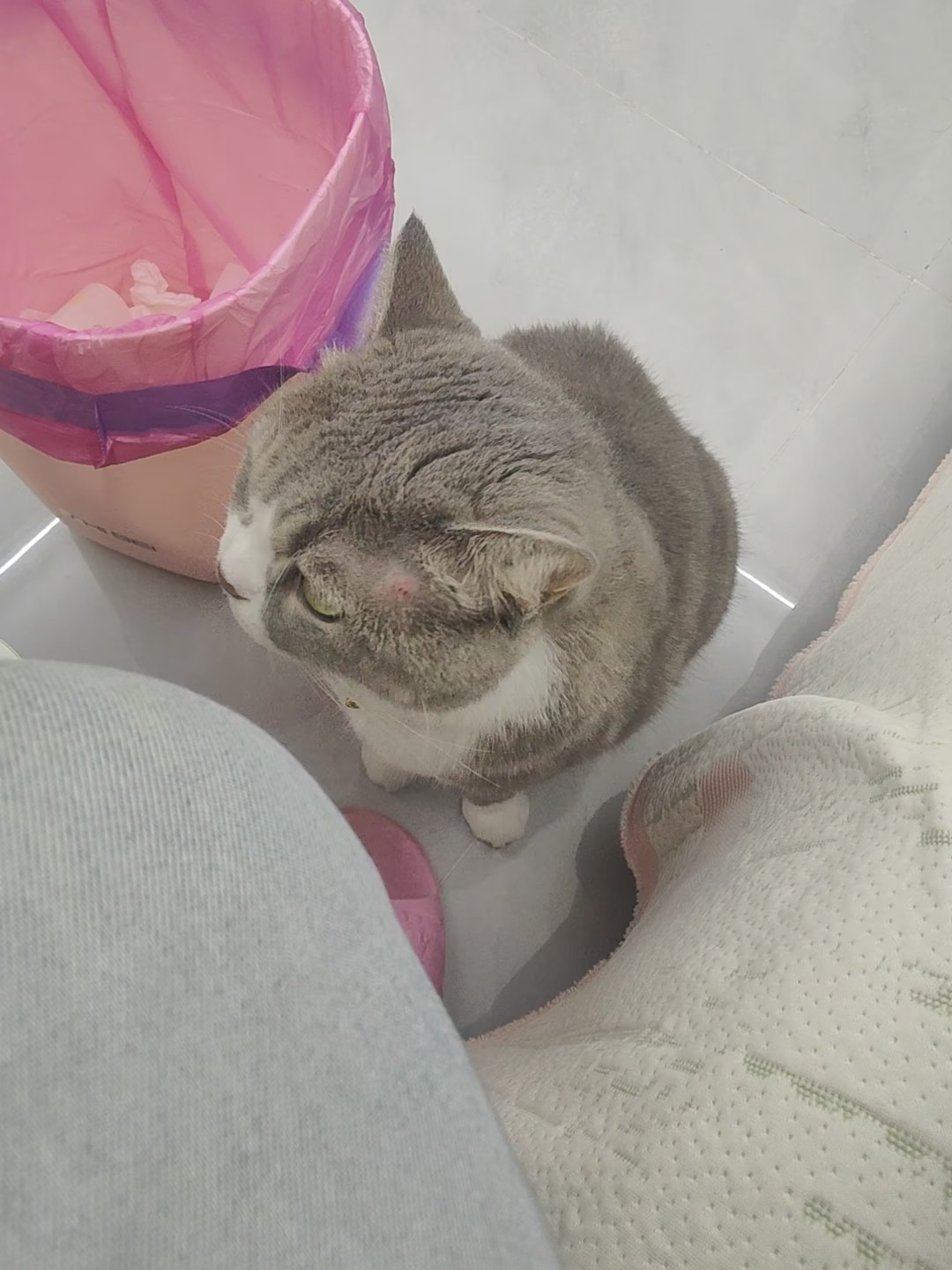 被打了，来告状