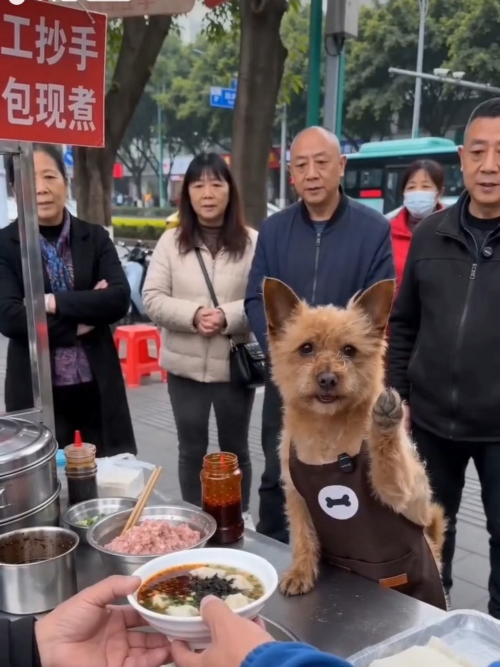 街头“馄饨摊”