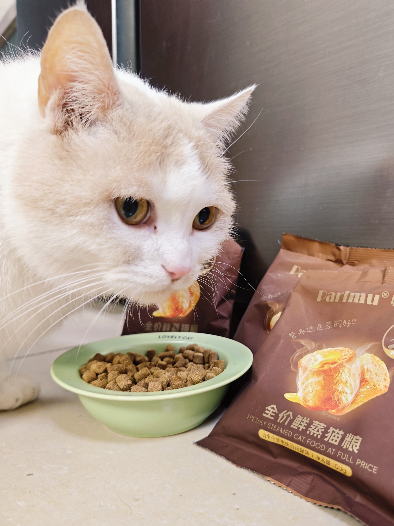 小猫咪深夜爱上干饭/蒸的很好吃啊！