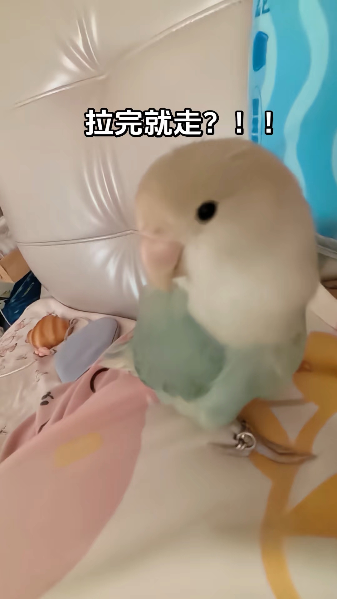 我们的感情难道就只是拉个粑粑的交情吗？