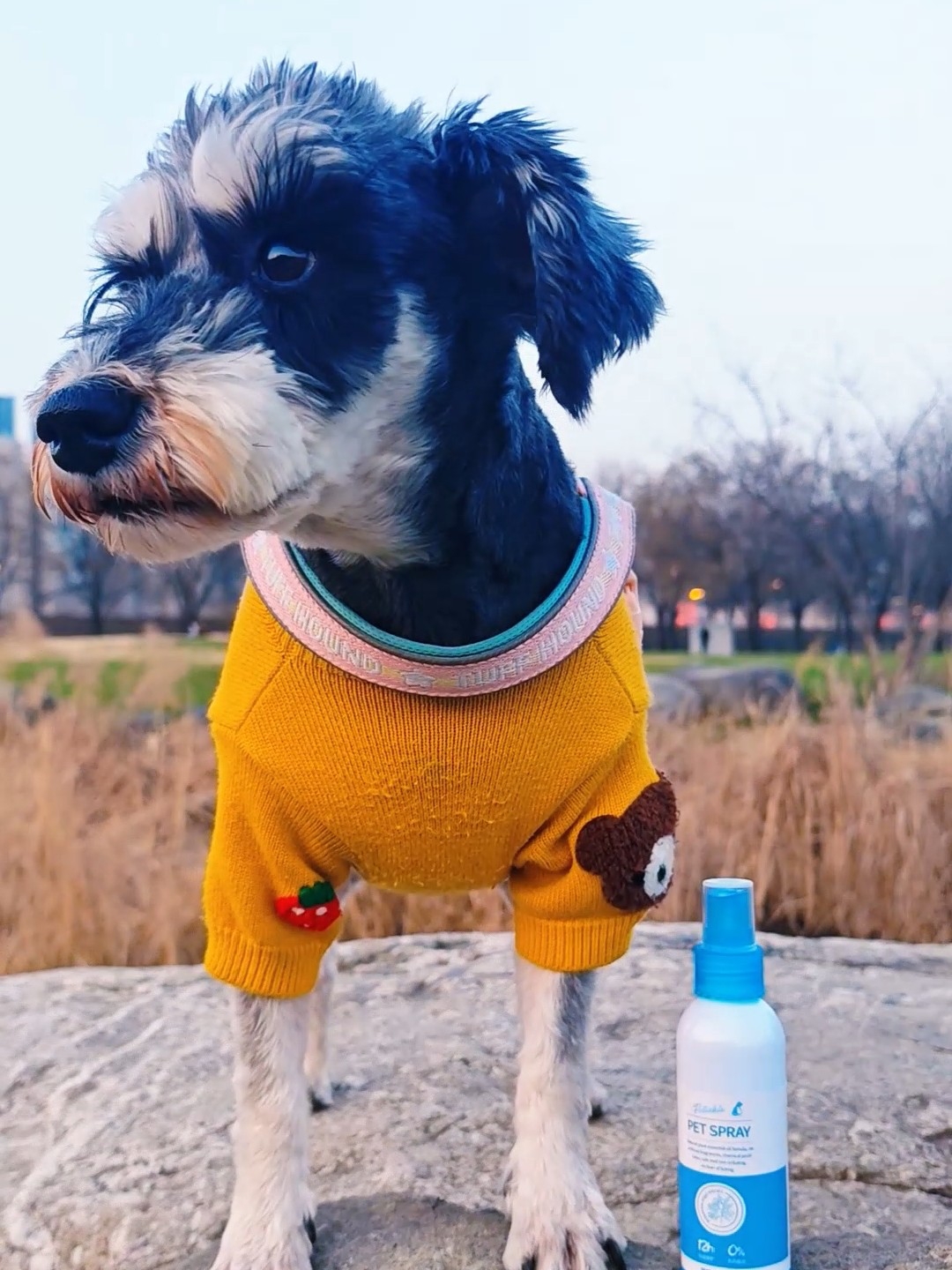 遛狗不踩雷！这款无刺激驱虫喷雾我能夸一万遍🐾