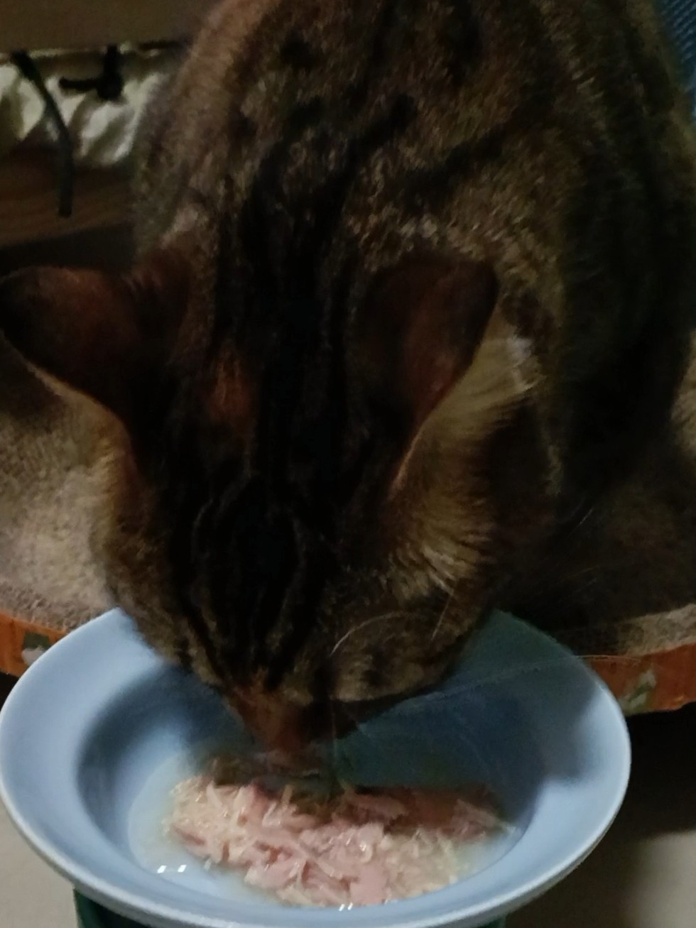 今天是肉包晚餐17