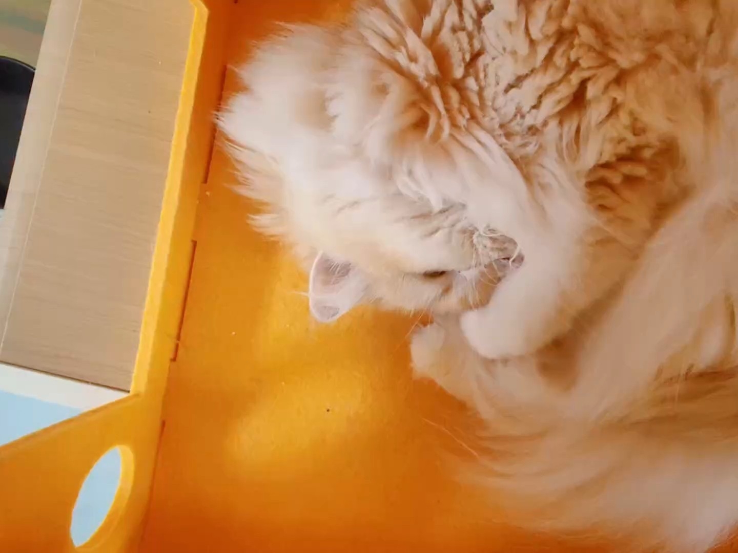 您拨打的用户正在睡觉