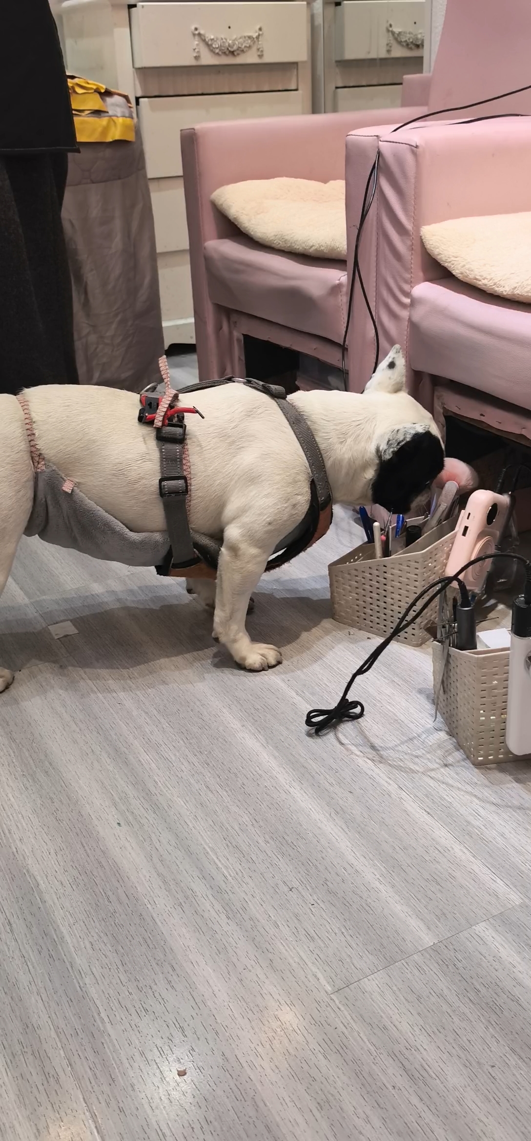 人 撒泼打滚是我的绝技！