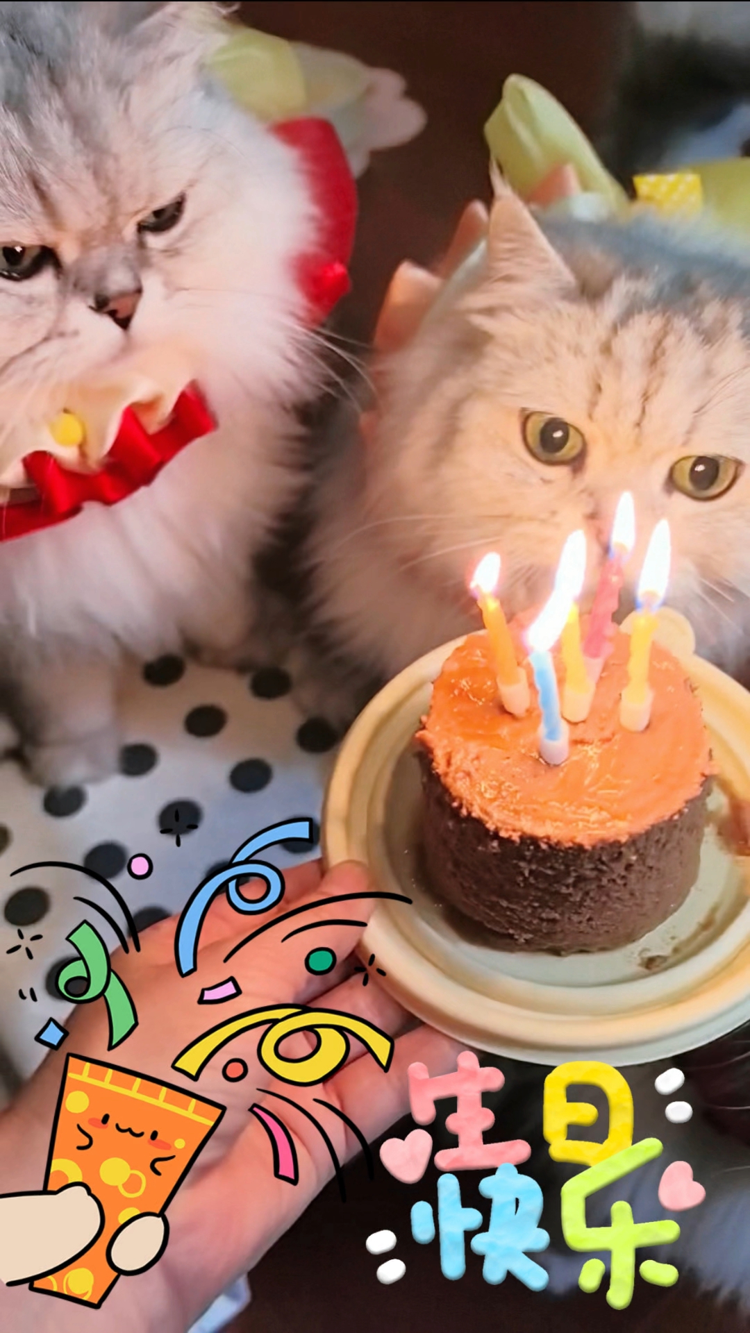 宝宝们，五岁生日快乐呀