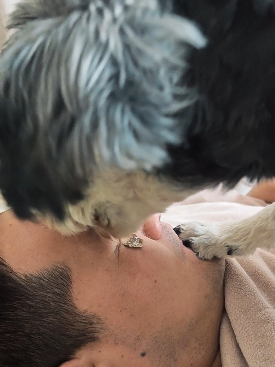 某位小狗，已经不把主人当主人了