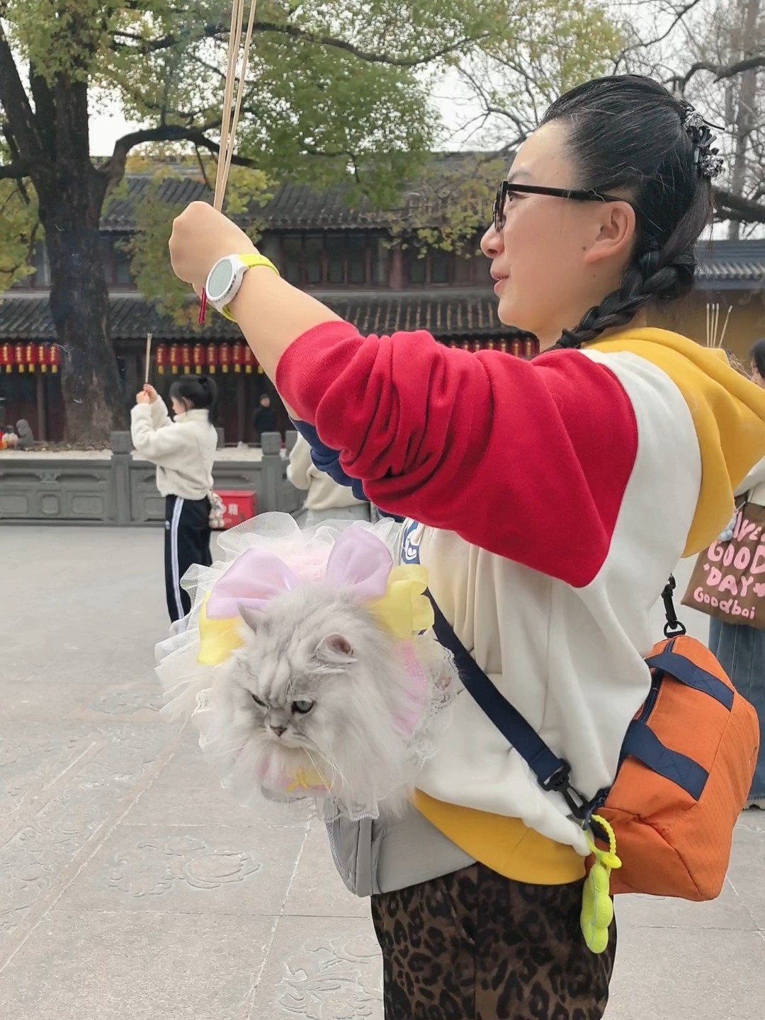 二月二龙抬头，带小猫去龙华寺拜拜🙏