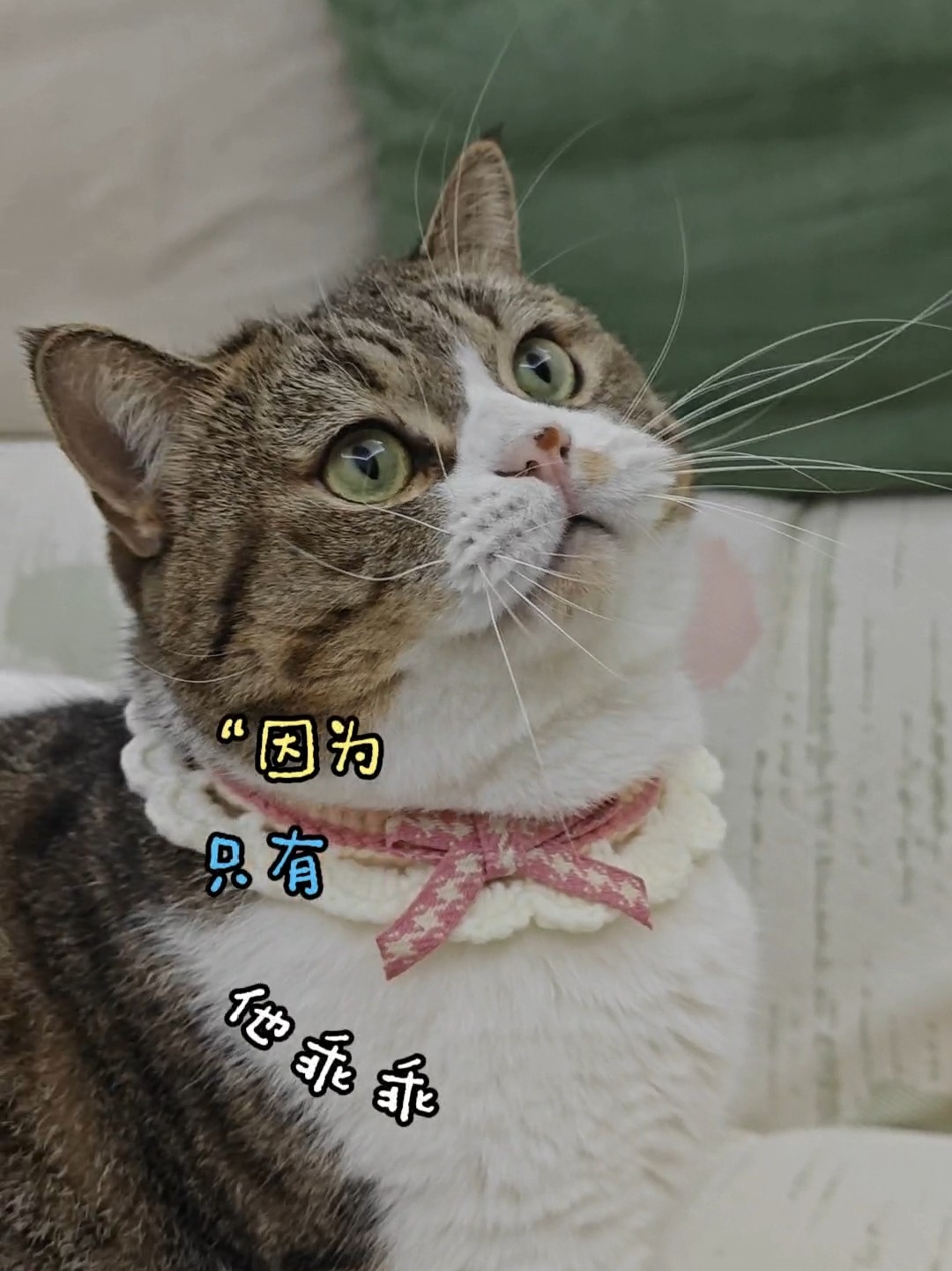 知道他为什么这么乖吗？