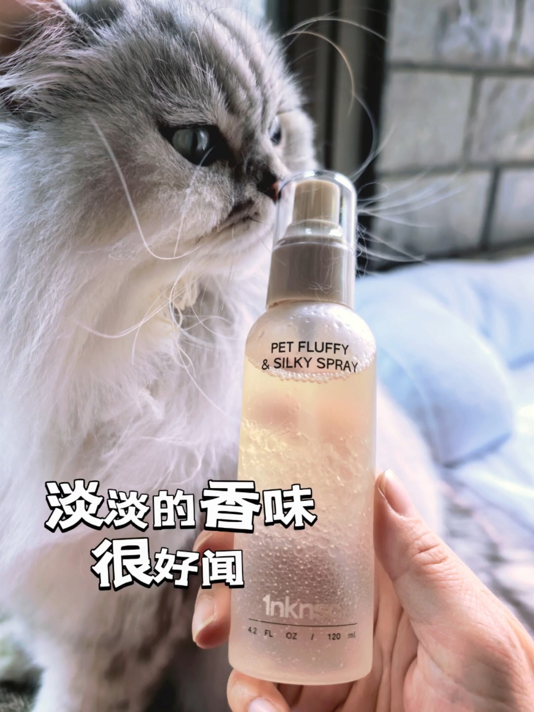 爱外出+穿裙子の长毛猫毛发护理神器Get✔️