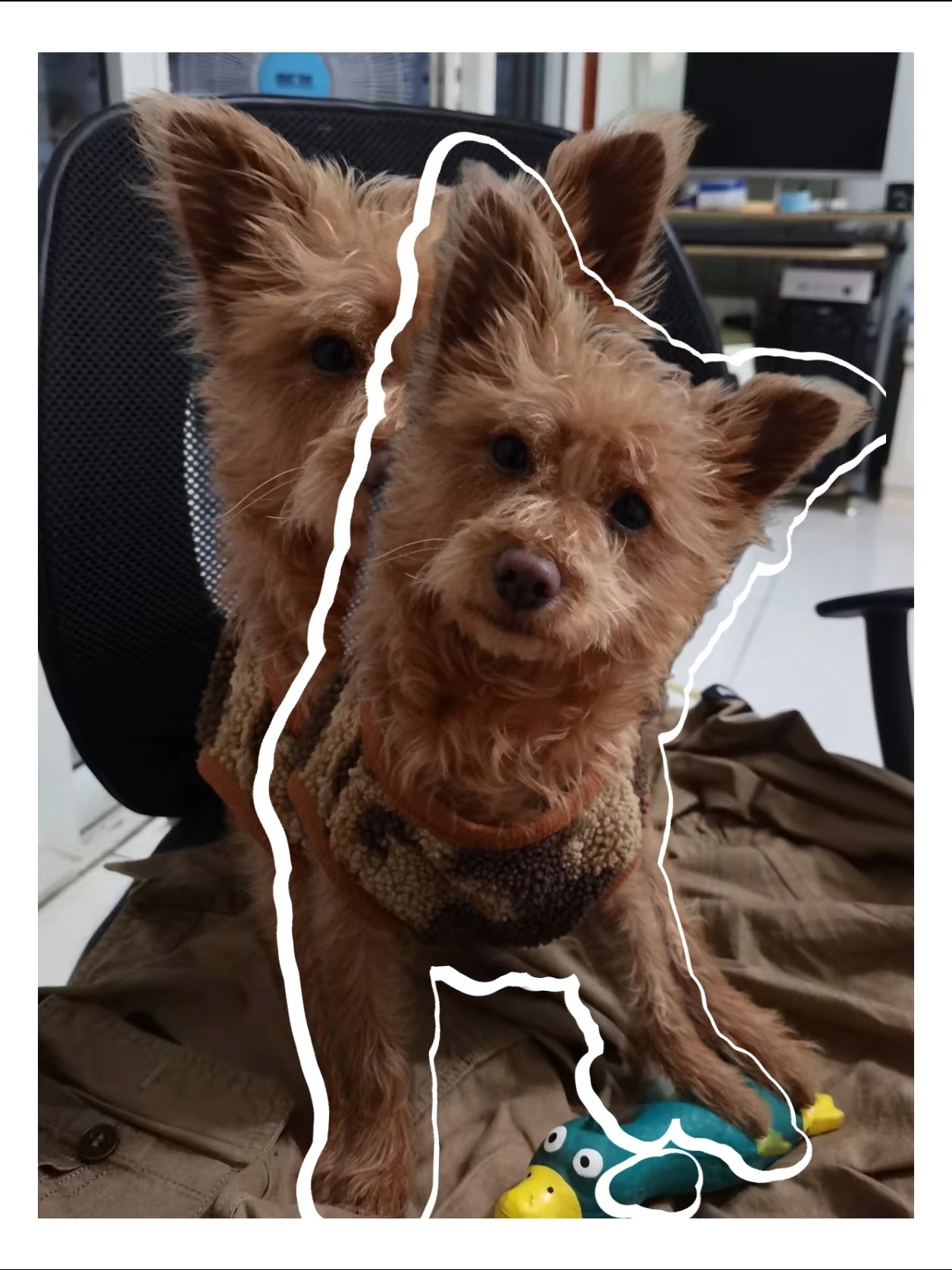 谁还不会摇呢～～