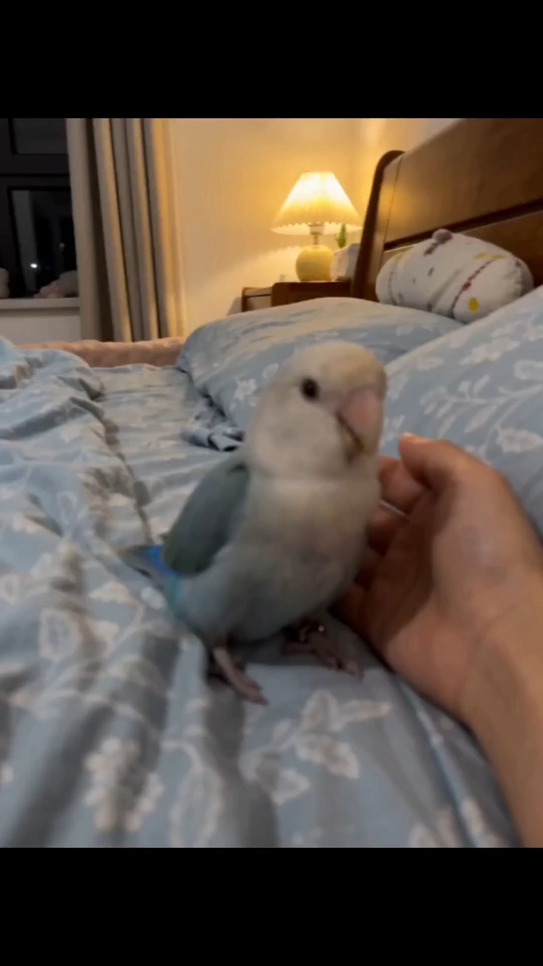 新饭搭子～夜宵想法一拍即合咯