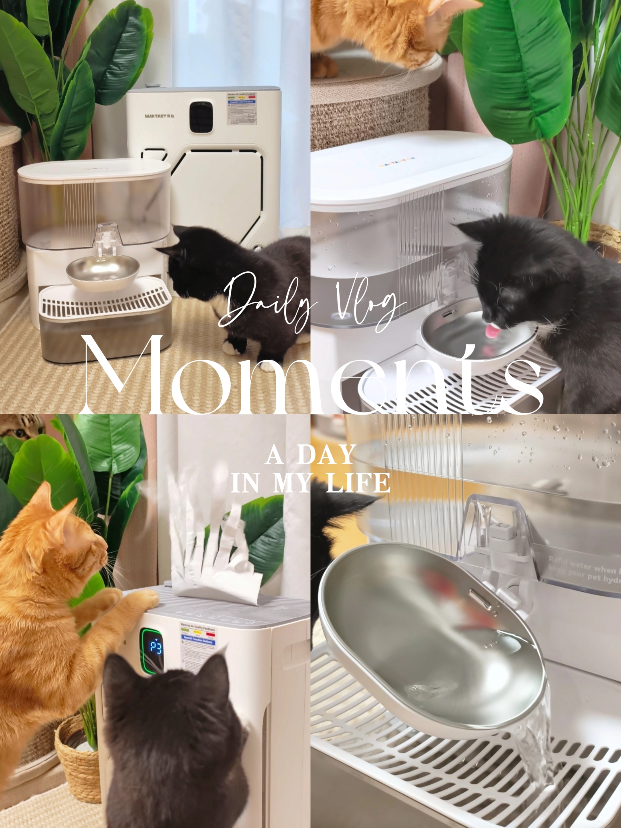 一个干净的家，是治愈的开始