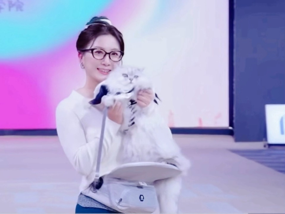 2026春季宠物时装周走秀——圆满完成🌈