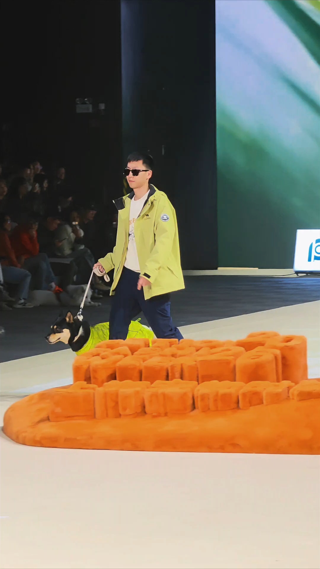 走走走，春日大秀走起来！