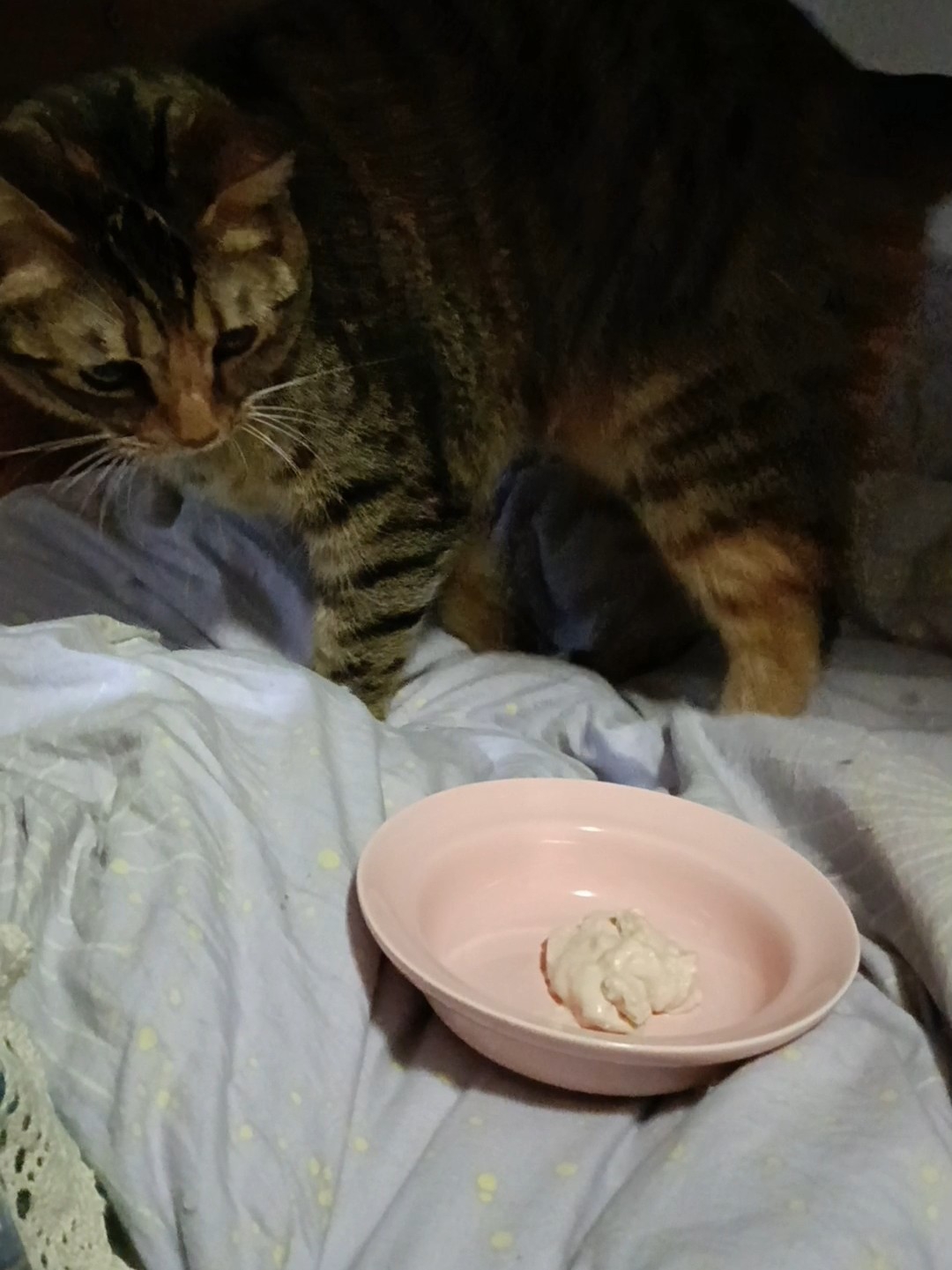 哦？好像很有话说的样子30