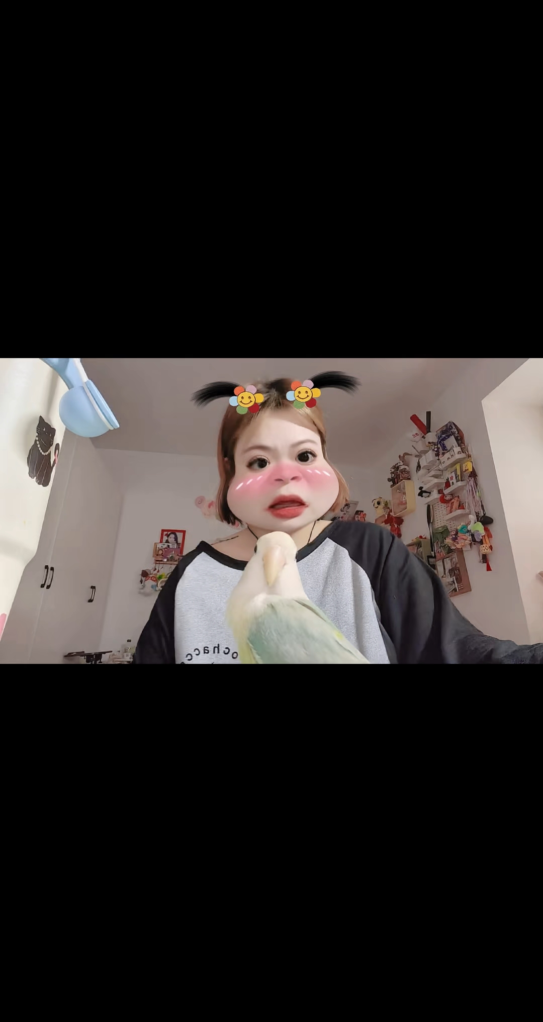 萌宠版拍拿放挑战 ◔.̮◔✧