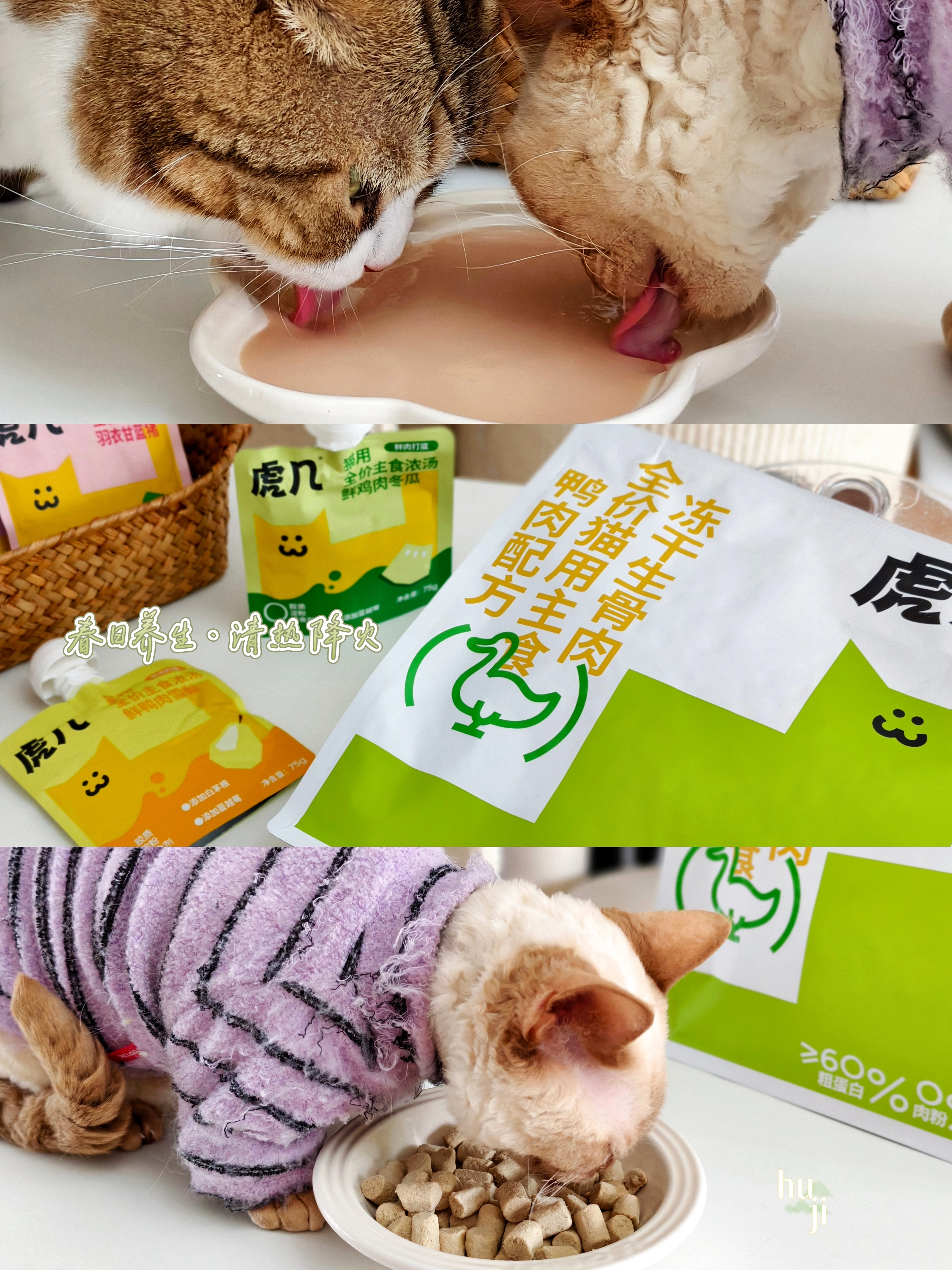 春日养生猫饭🥣清热降火，一步到位