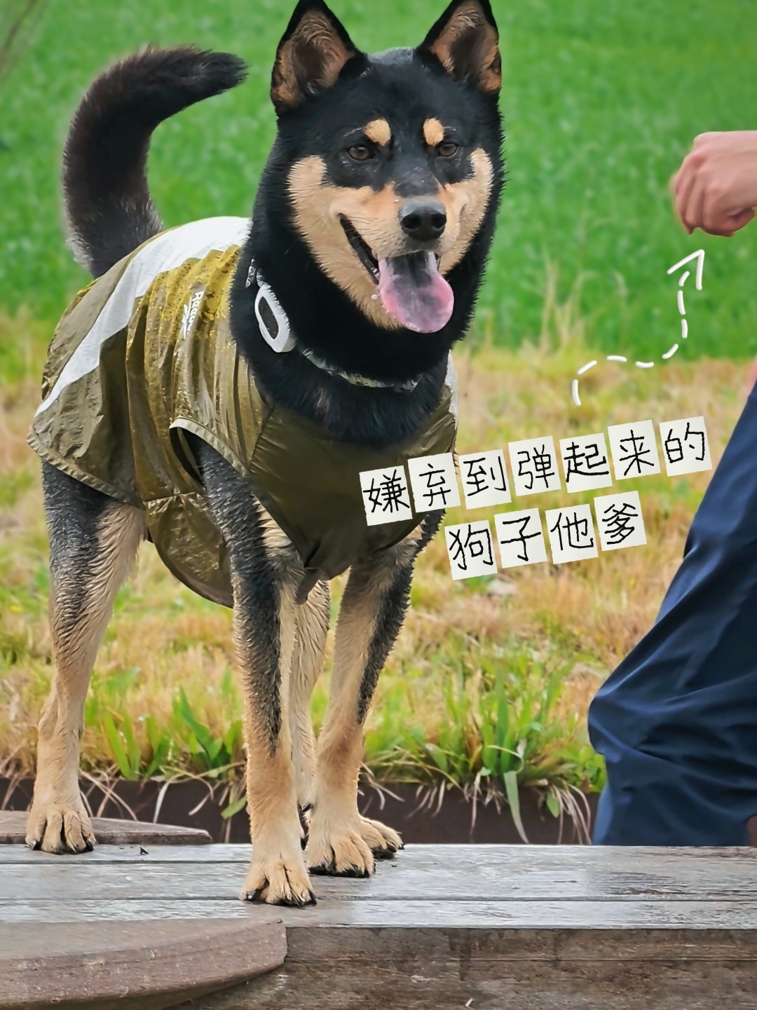 嫌弃马上就要溢出屏幕了