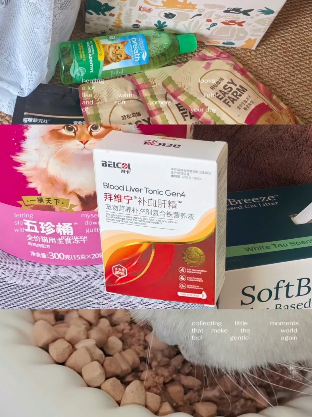 3月底囤货开箱分享！