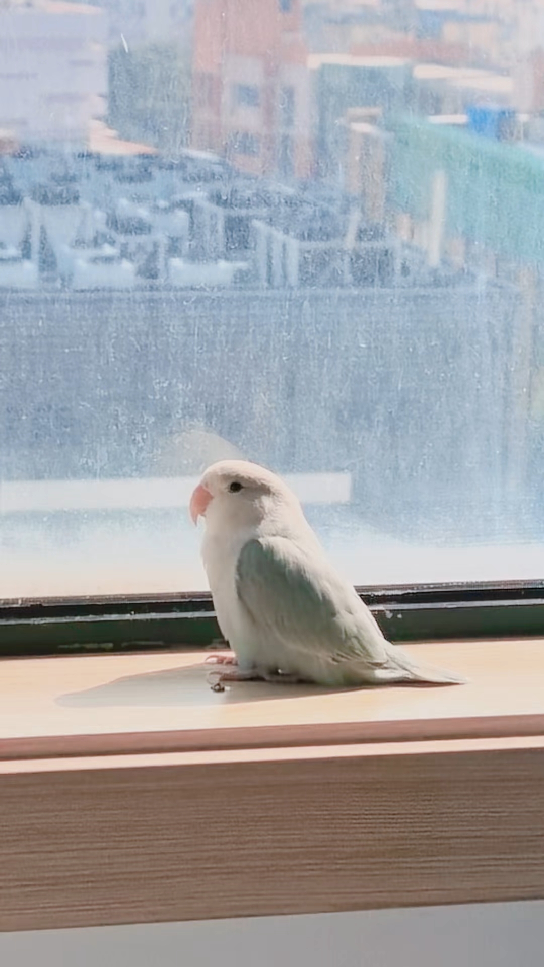 晒太阳晒多了也容易emoπ_π