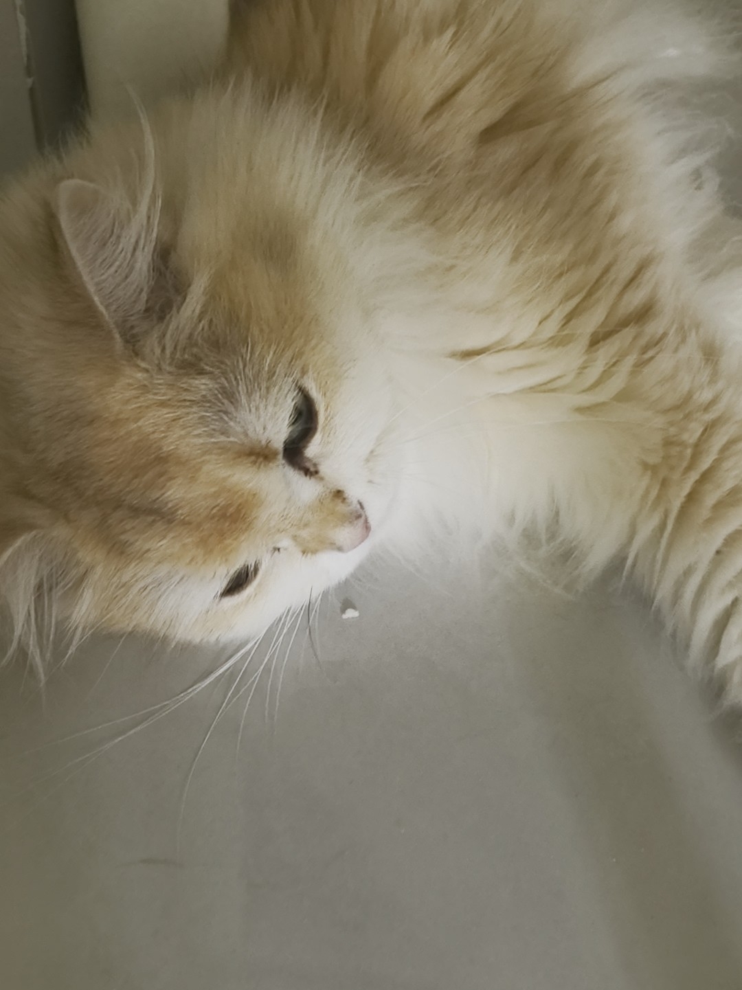 凳子下面舒服？