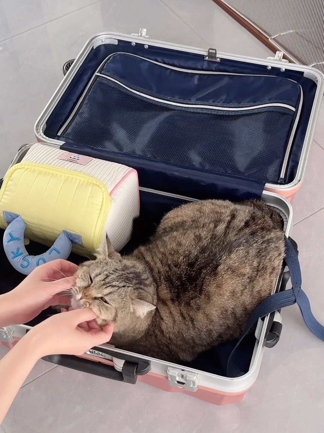 远程开启红外线灯光，陪猫咪玩耍，咋也不用担心猫咪独自在家无聊了