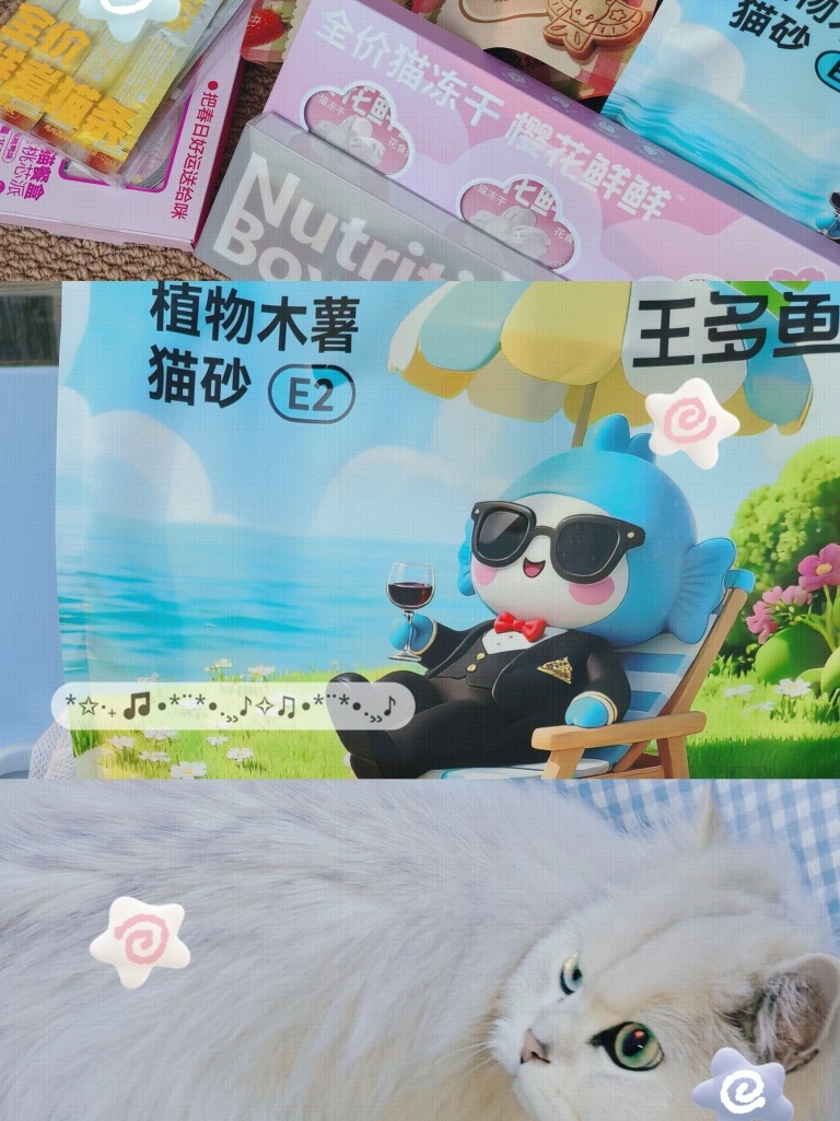 多猫家庭的春日小片段