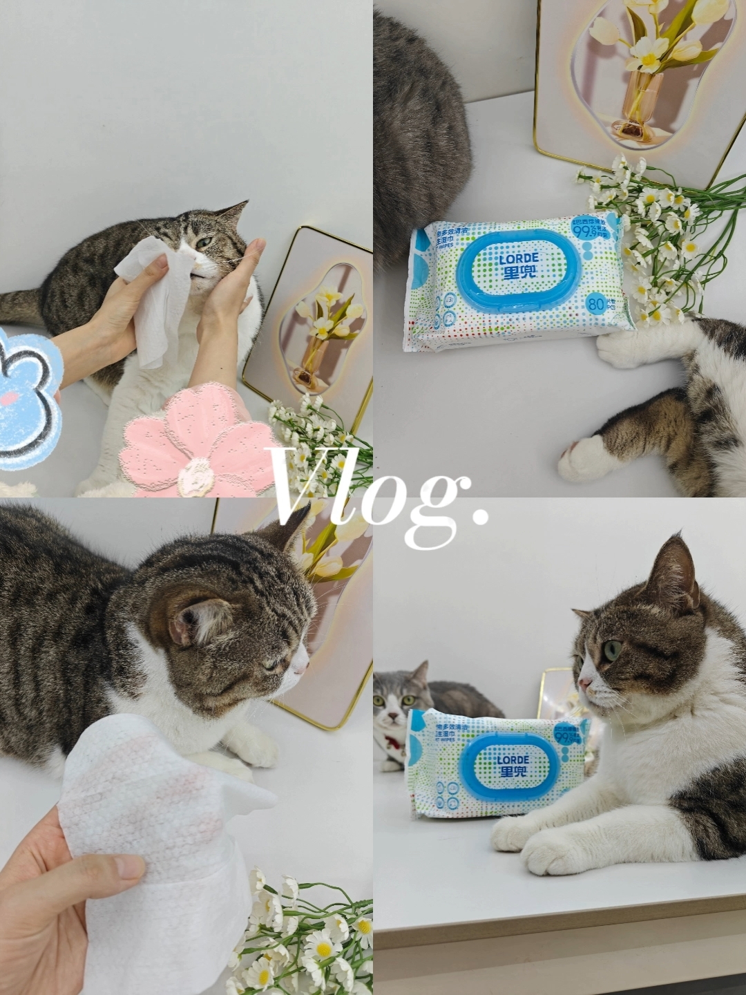里兜宠物湿巾测评感受！