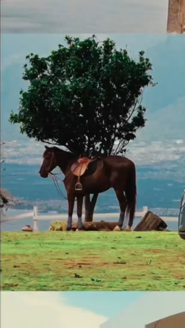 把家搬进山海，带妈妈去看她想看的风景。捷途山海L7PLUS，是移动的小家，也是漫天的星光。#捷途山海L7PLUS #旅行小房车捷途山海L7PLUS