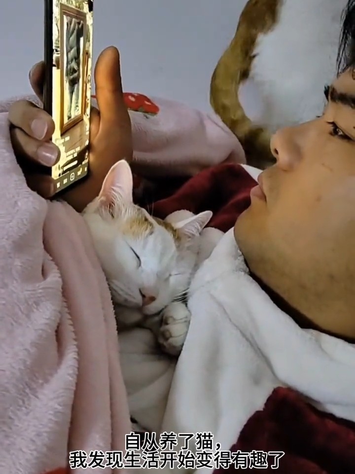 自从养了猫，生活多了很多乐趣