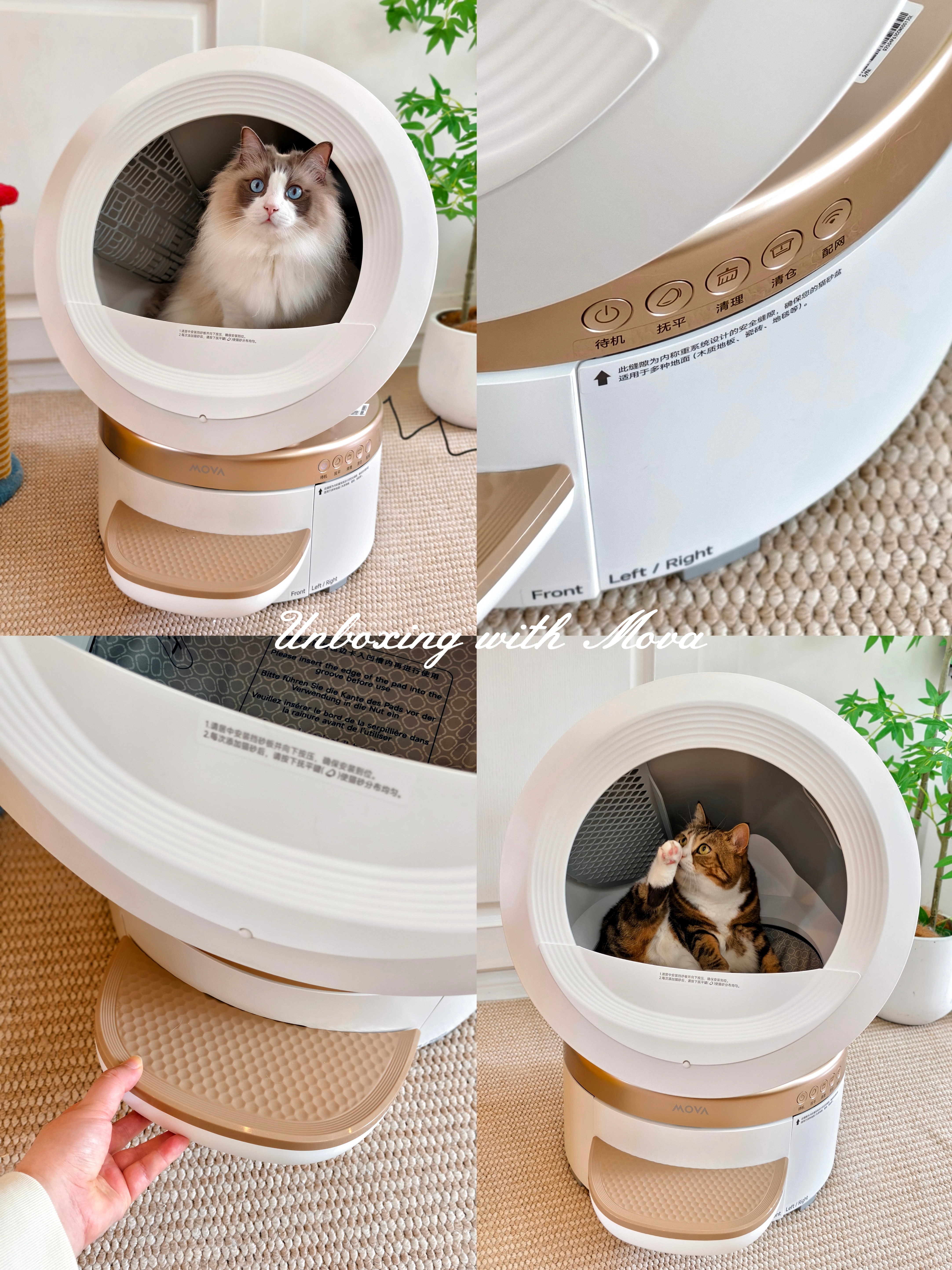 mova自动猫砂盆开箱~
