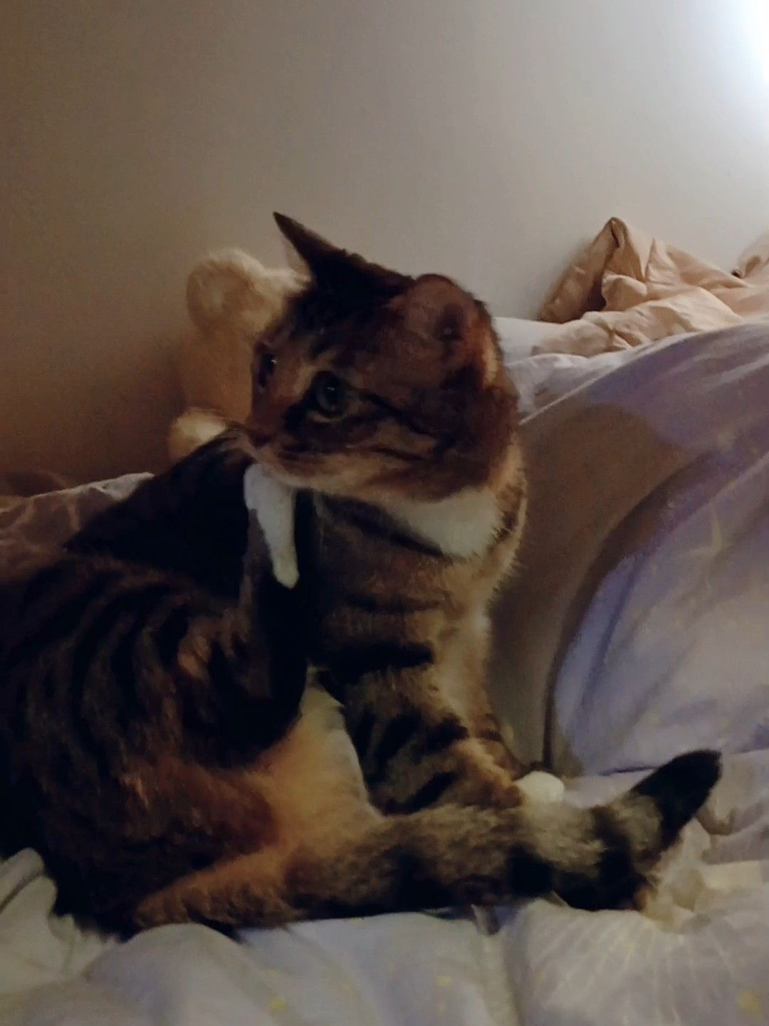 好像发现了什么？10