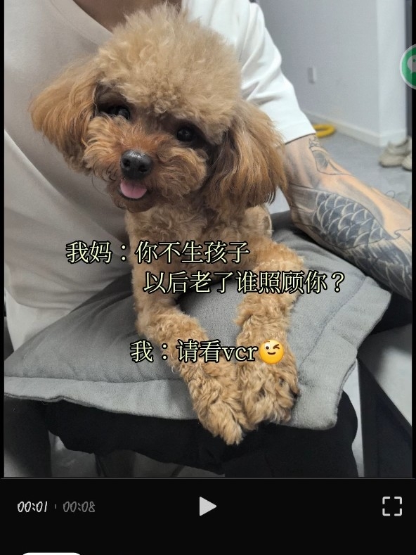 不生孩子以后谁照顾你