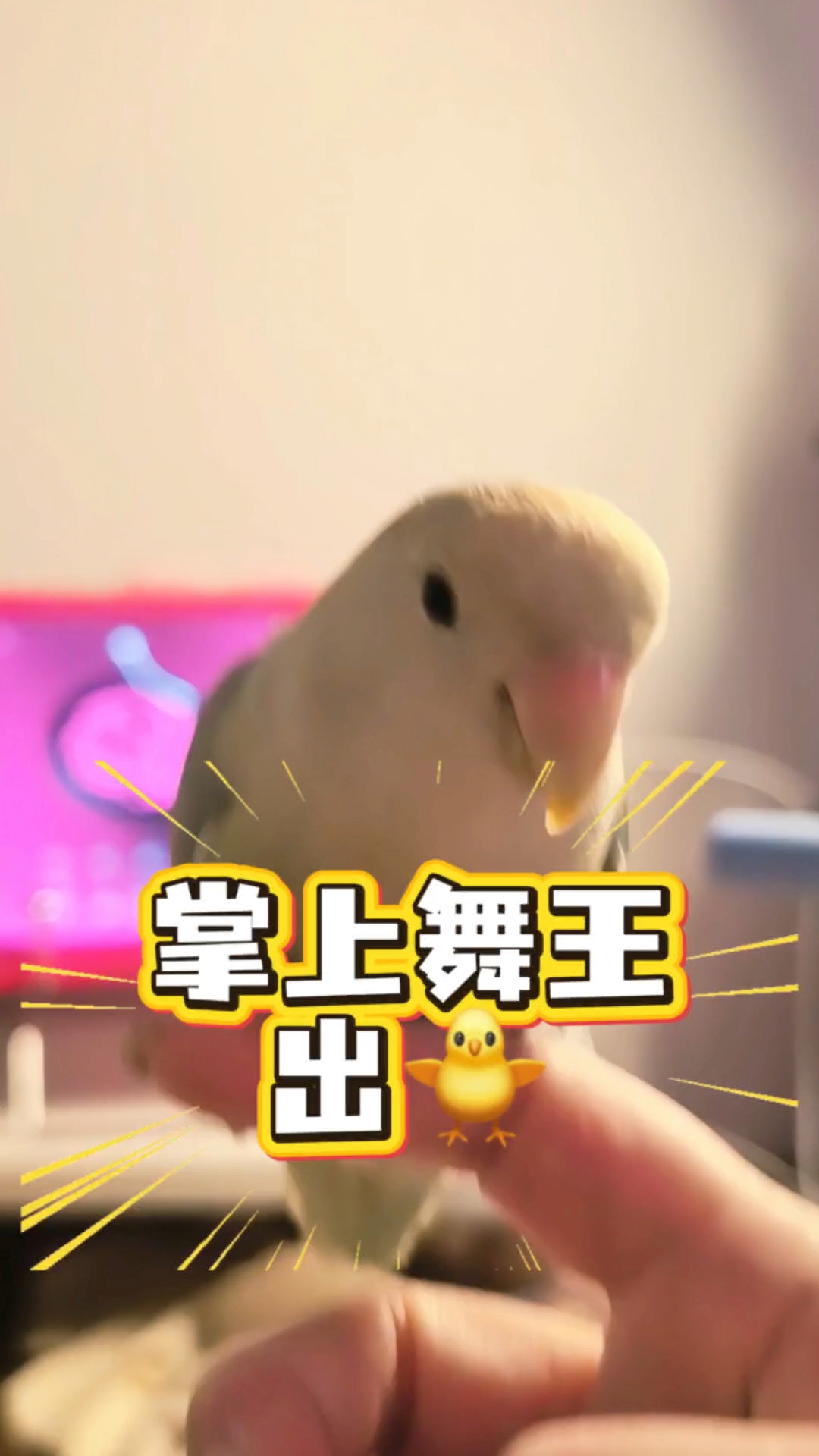 家人们，掌上舞王来啦！