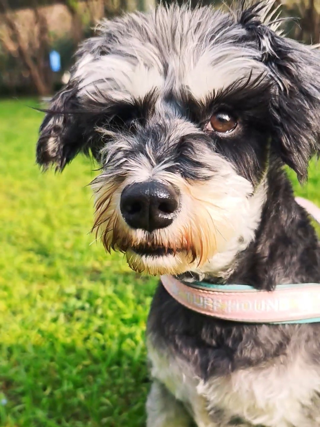 咱也是用上炫酷的音乐了😎