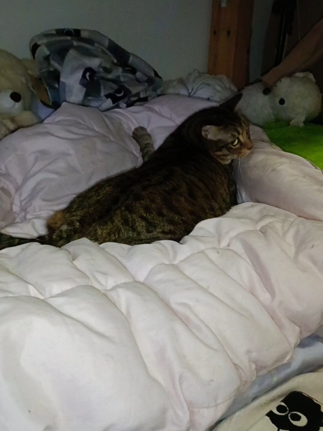 这种天气不开空调热炸啦15