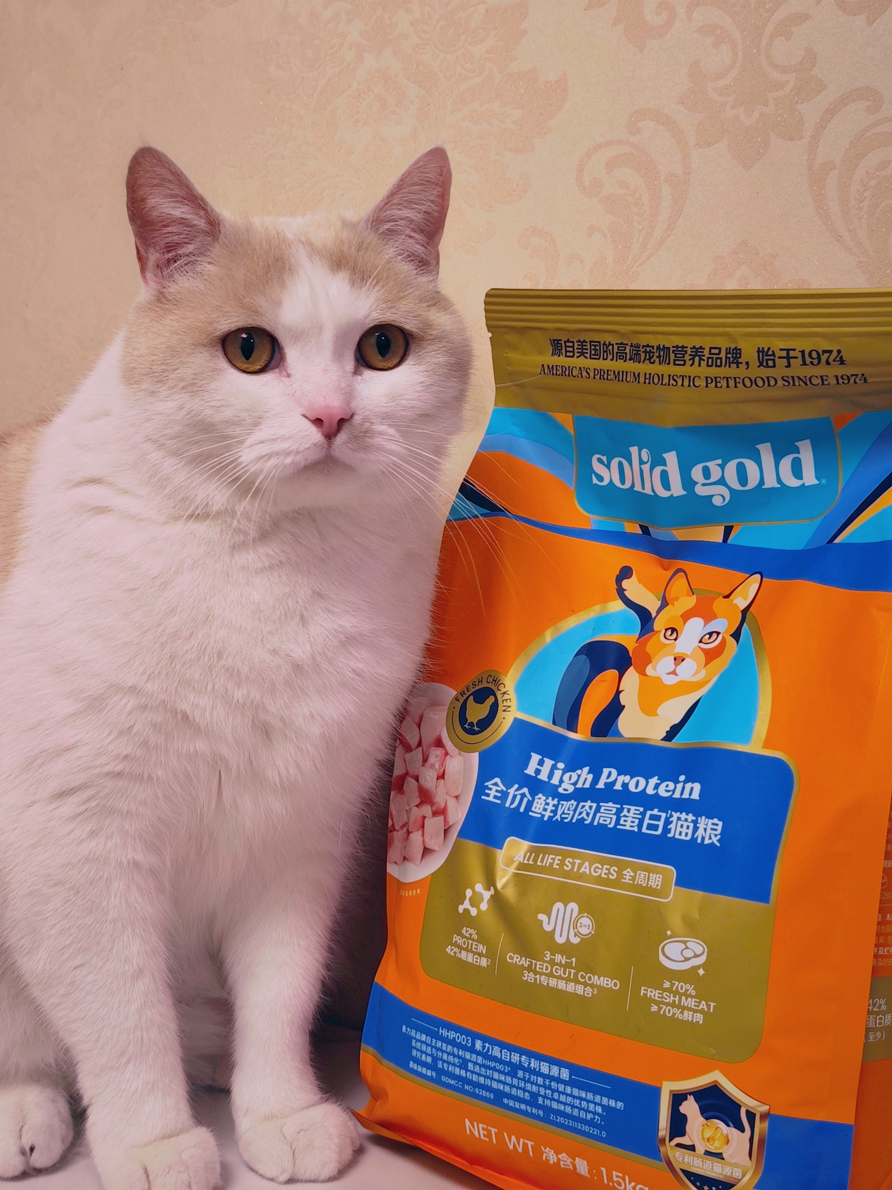 给家里胖猫换粮的真实分享