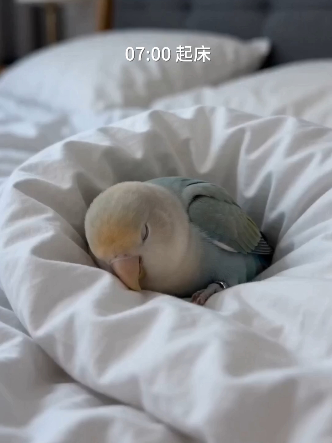 人～原来做牛马这么辛苦🥺